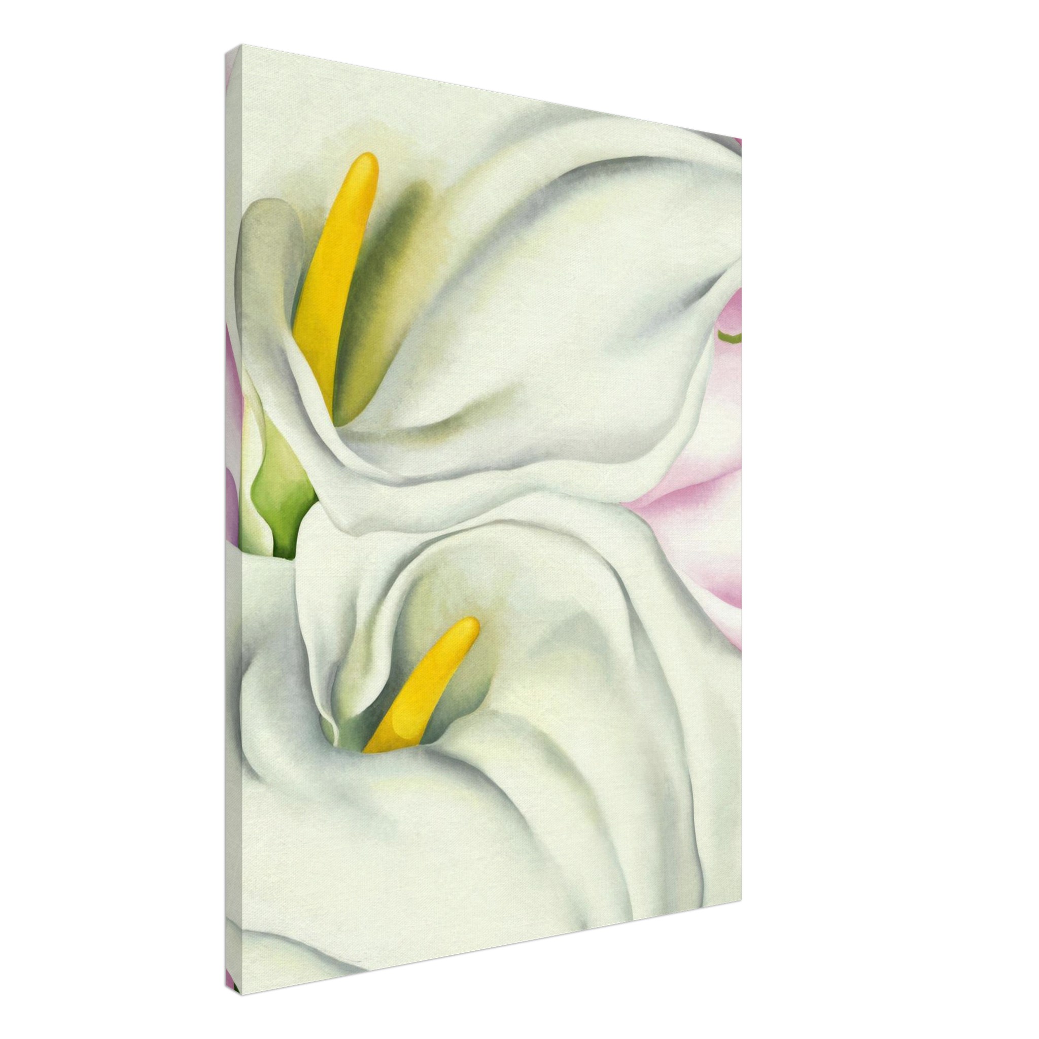 4ef35356-1ada-4223-af76-953c8588f87a.jpg 4ef35356-1ada-4223-af76-953c8588f87a