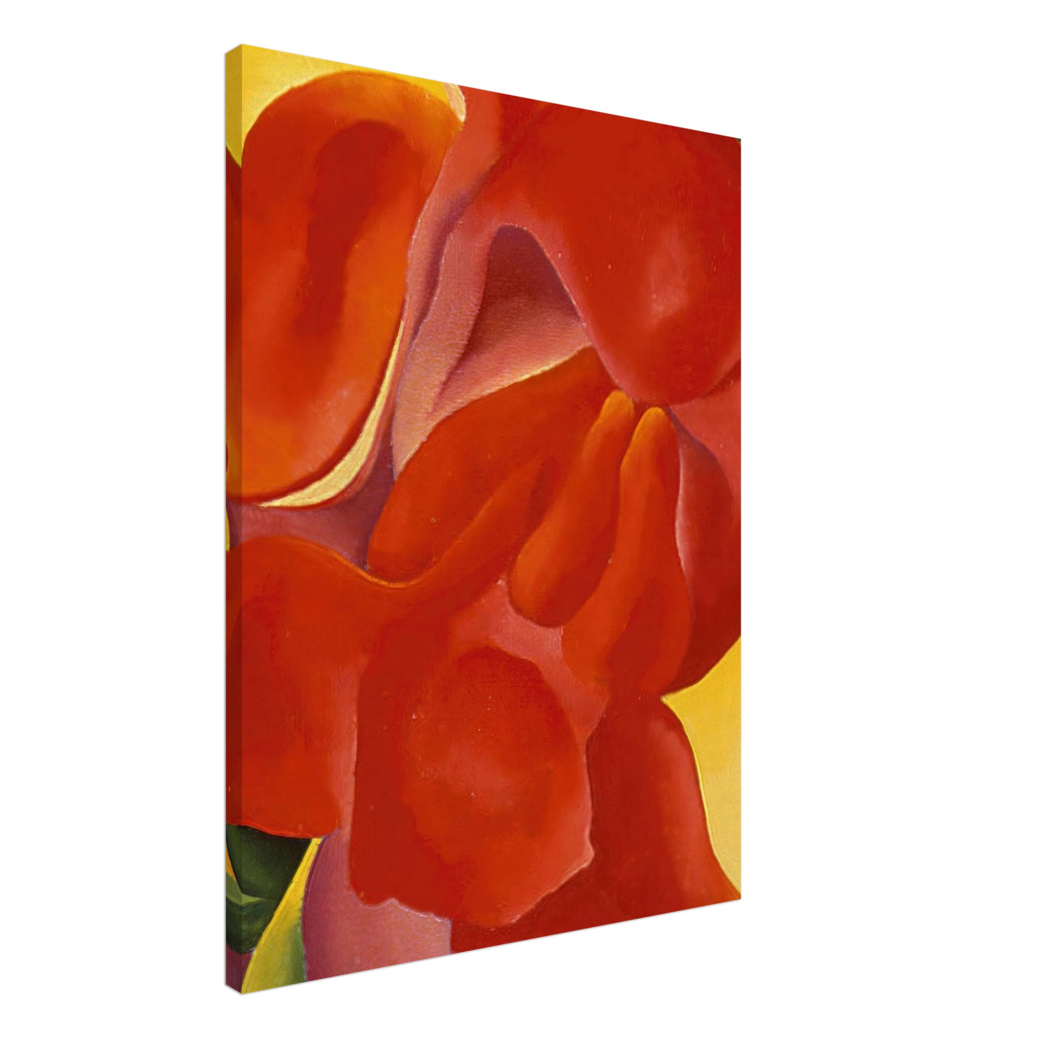 66ea2abd-2e81-4251-850c-6bfd77ec8c53.jpg 66ea2abd-2e81-4251-850c-6bfd77ec8c53