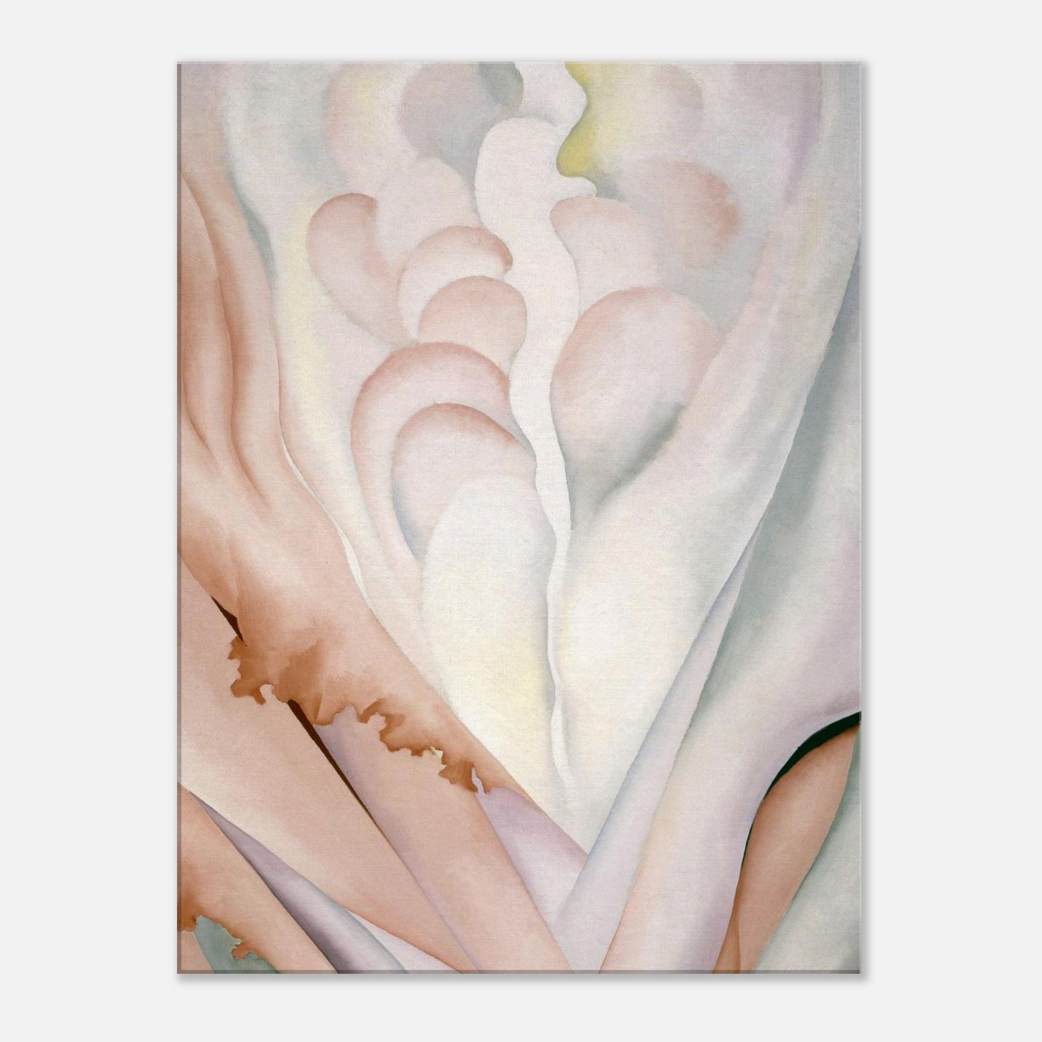 69d56c6e-49cb-45a3-b69c-0edd3013c15b.jpg 69d56c6e-49cb-45a3-b69c-0edd3013c15b