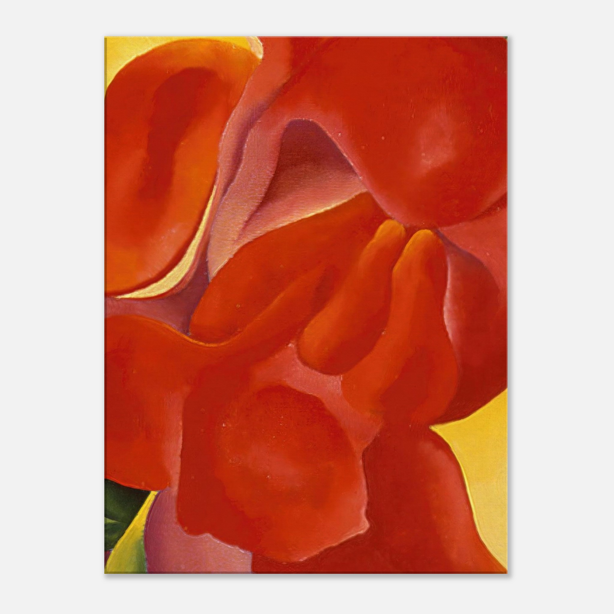 6a1f5583-2b5c-434a-b0c5-1cd80700b672.jpg 6a1f5583-2b5c-434a-b0c5-1cd80700b672