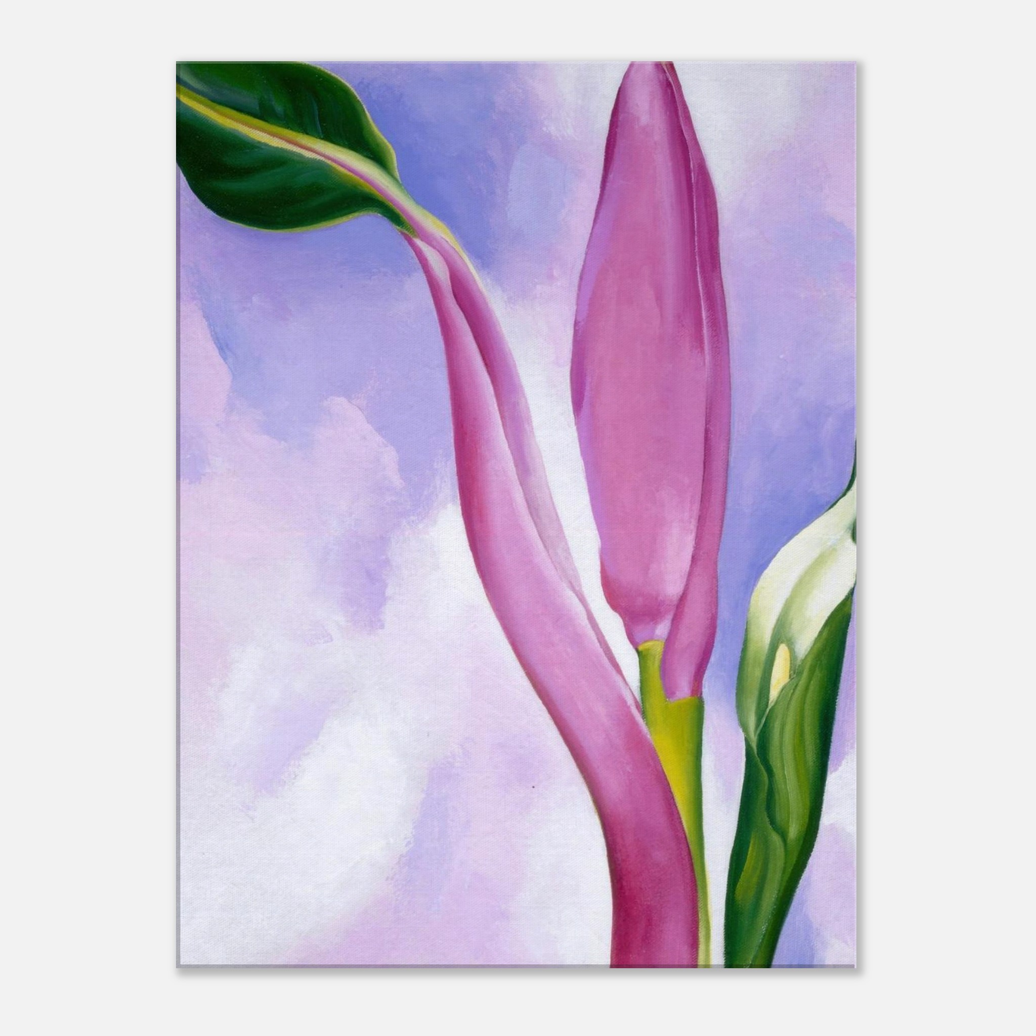 74ab5dde-ac65-4b12-bde9-9737ec867aed.jpg 74ab5dde-ac65-4b12-bde9-9737ec867aed