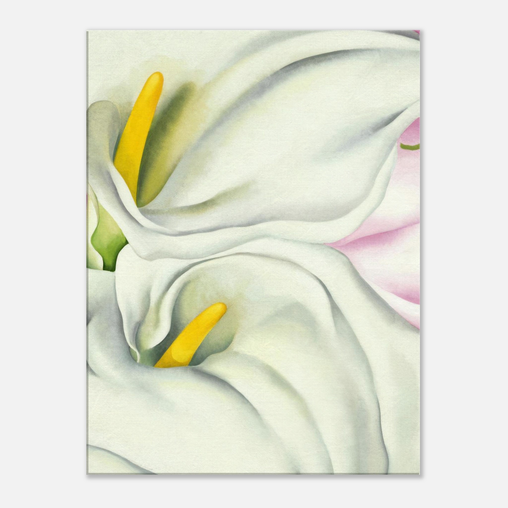 7642405d-41b1-46cc-ae0e-5bc07b385af2.jpg 7642405d-41b1-46cc-ae0e-5bc07b385af2