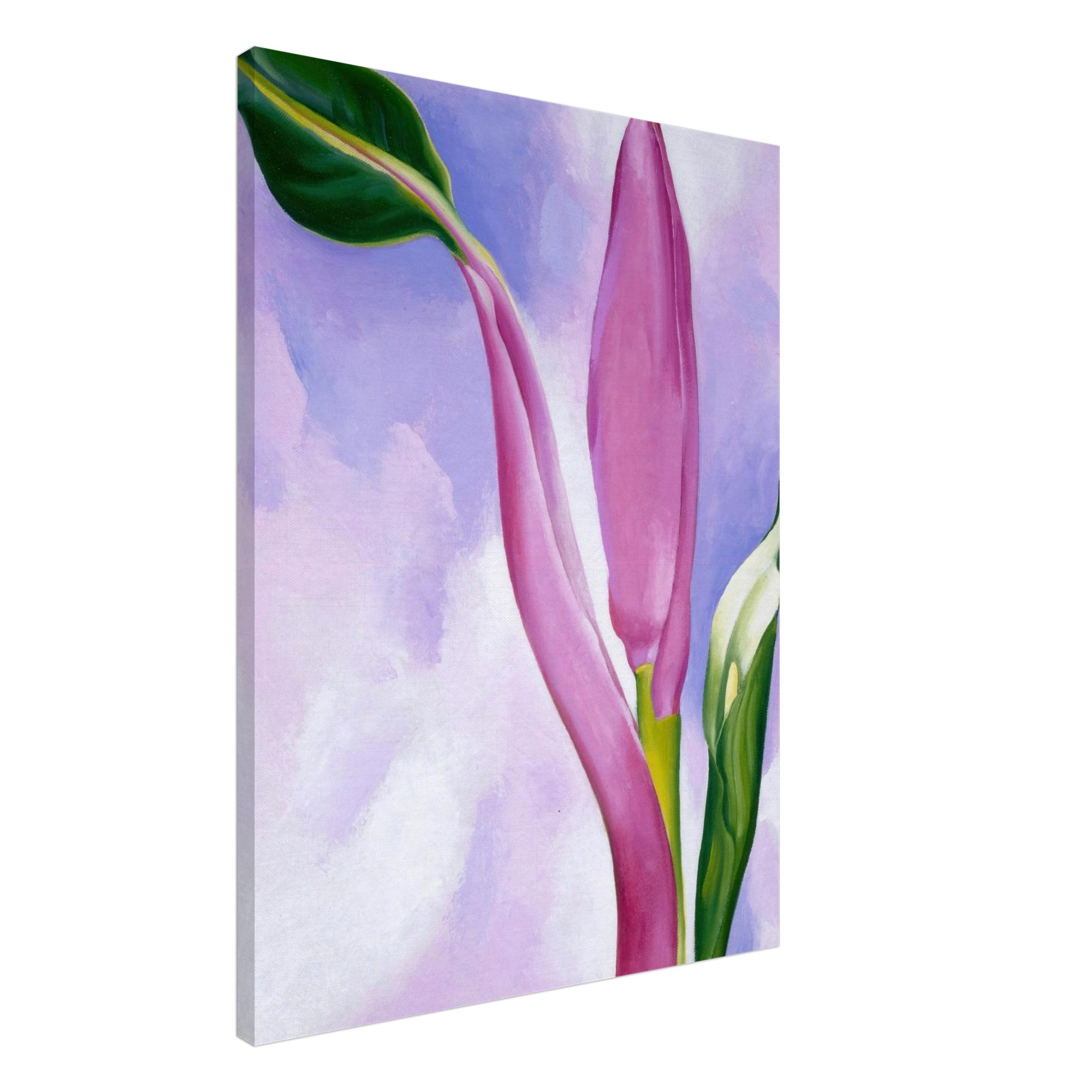 770110b0-73a9-432b-ad37-ce1d5efdfe9c.jpg 770110b0-73a9-432b-ad37-ce1d5efdfe9c