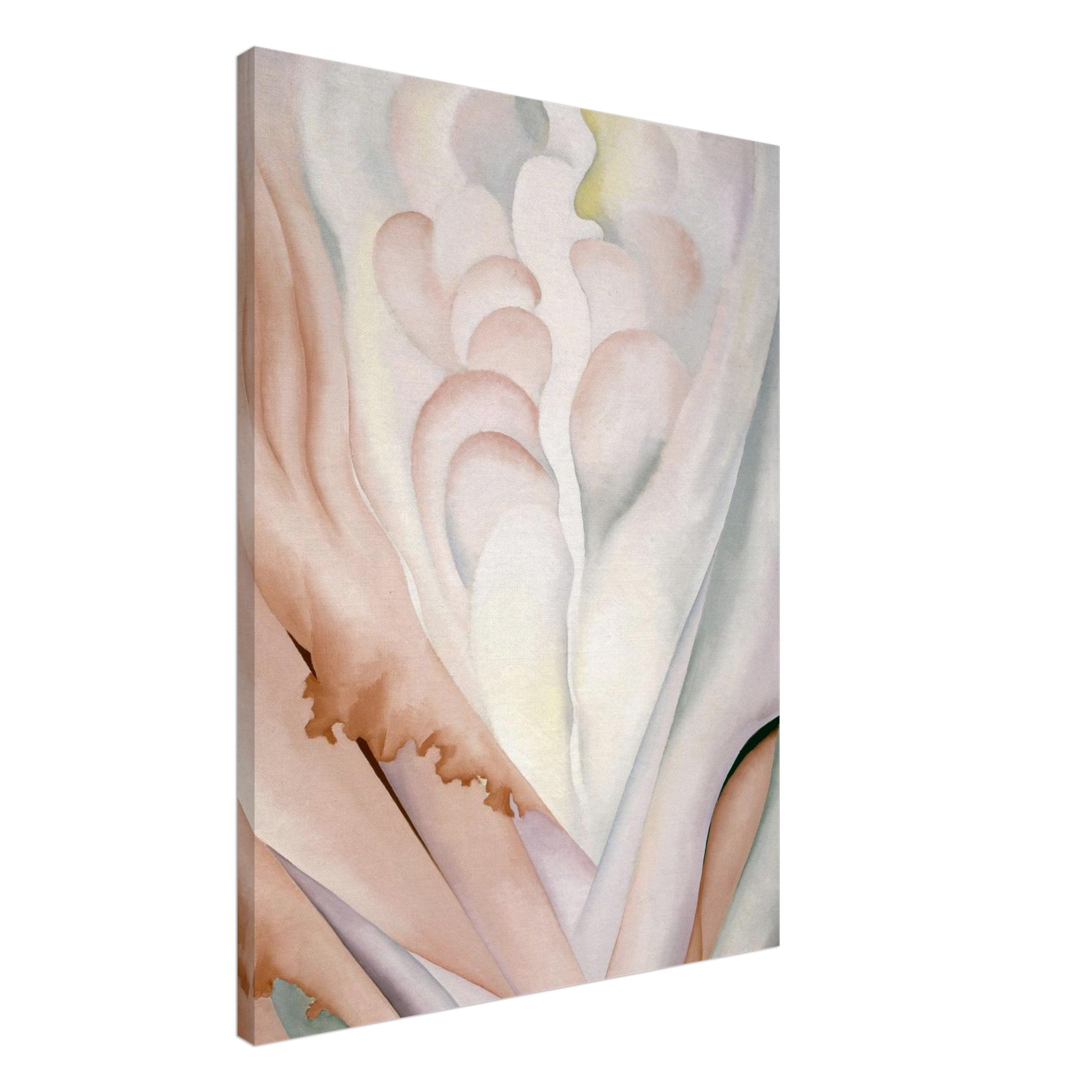 7d135b5a-477d-4bec-8195-b20b7538e96a.jpg 7d135b5a-477d-4bec-8195-b20b7538e96a