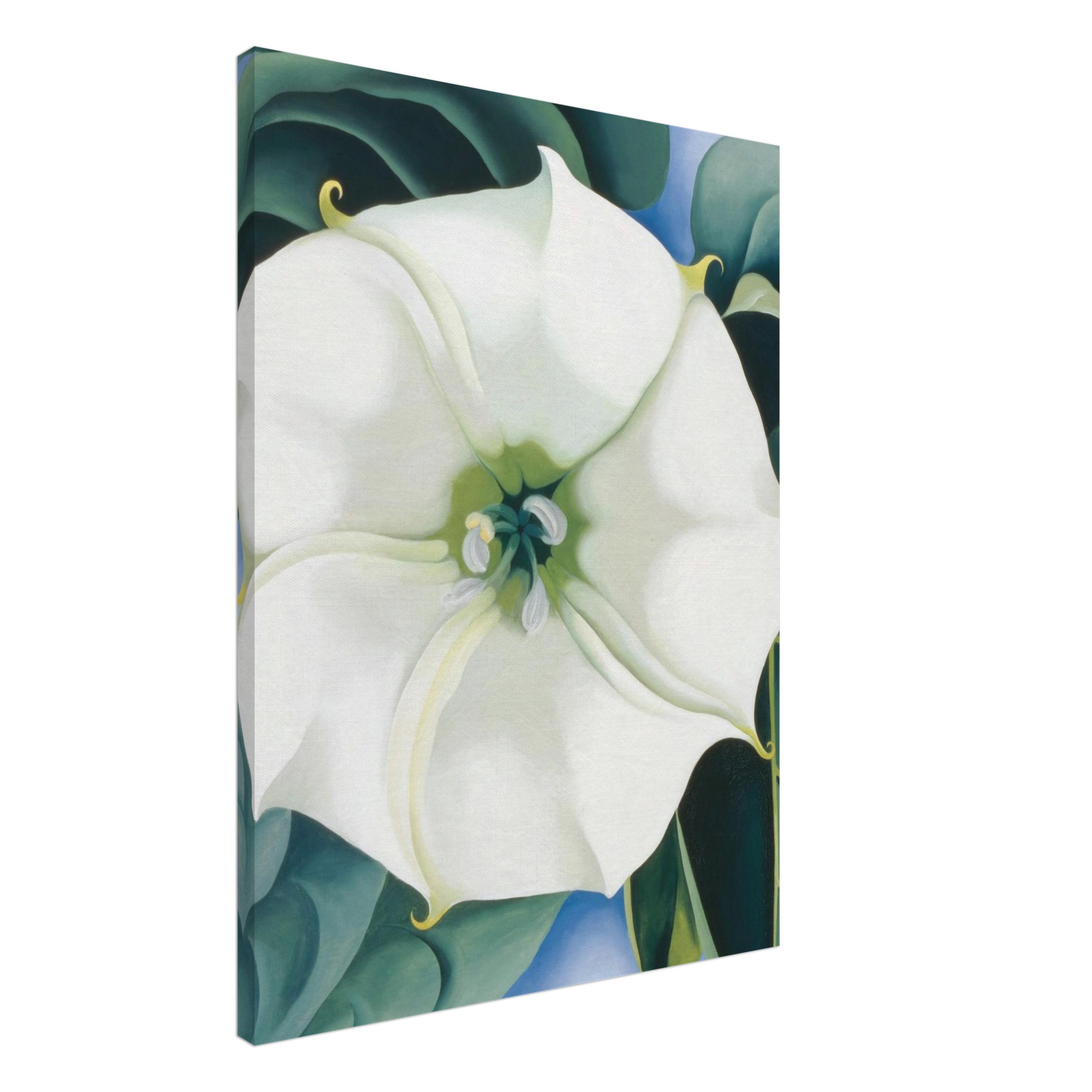 987411d0-5b9d-42fc-9698-7f3d27bfc414