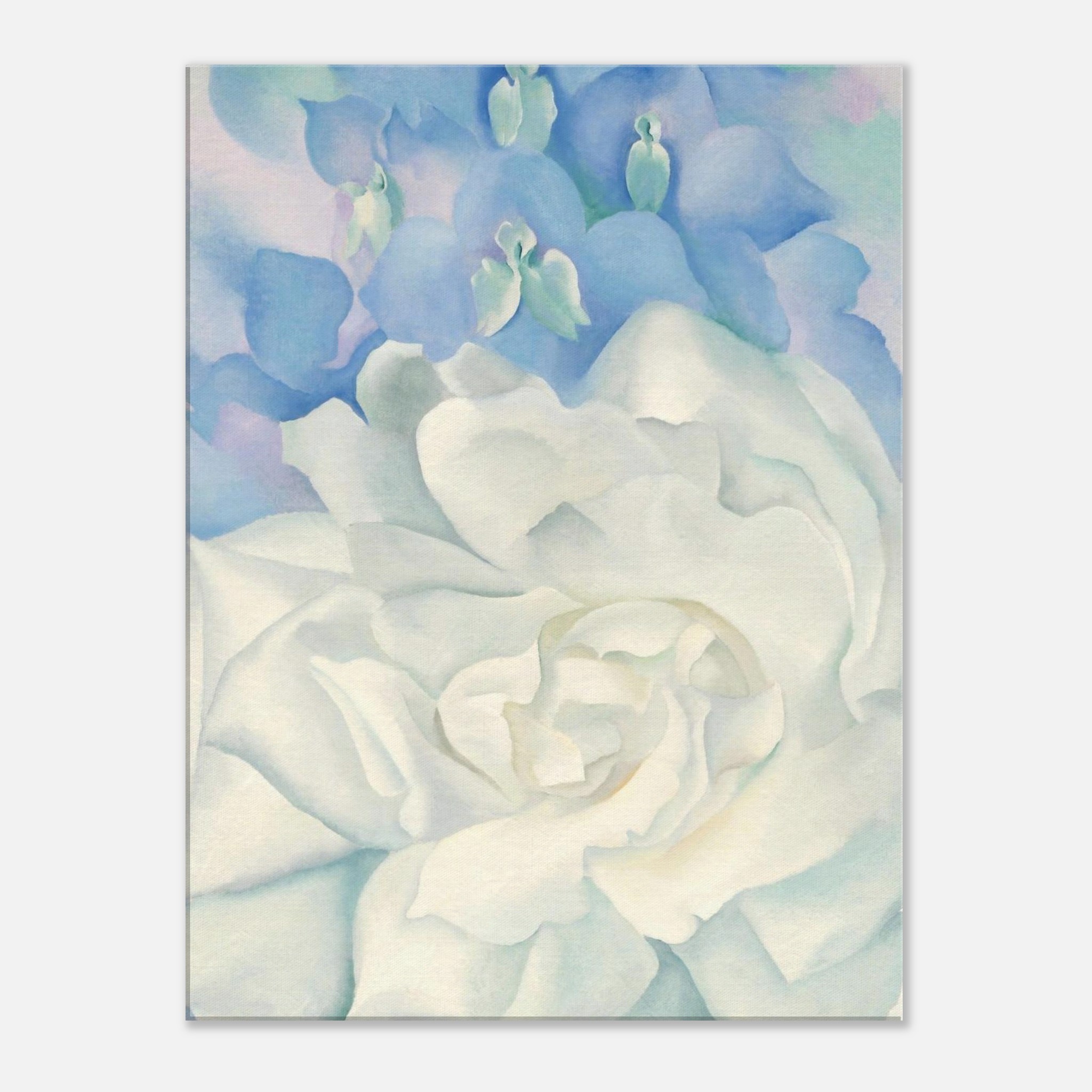 e2255168-0700-4d13-9e51-0dad6a228c67.jpg e2255168-0700-4d13-9e51-0dad6a228c67