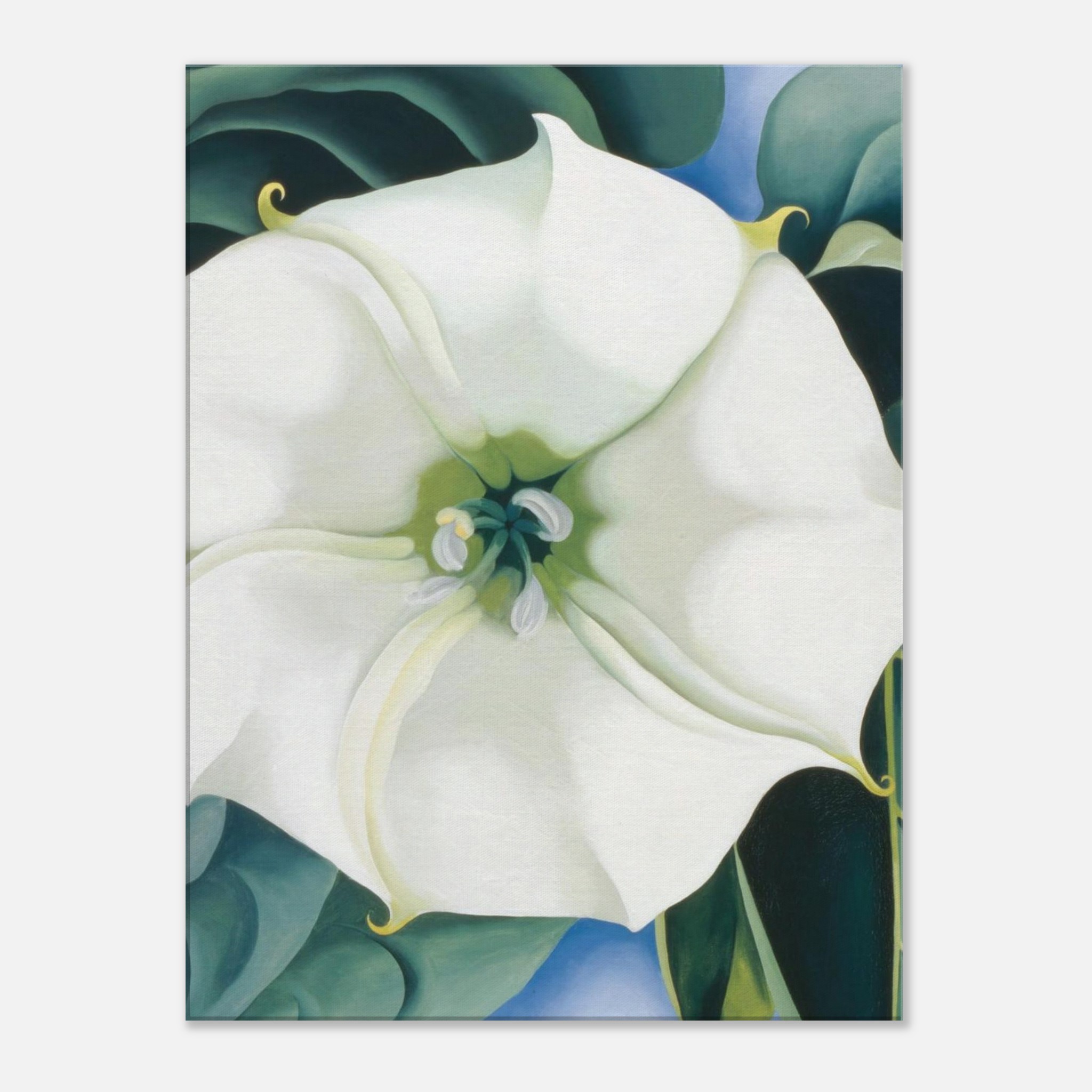 f862ee50-a43d-4abd-b954-8c3ae1c2b6a1