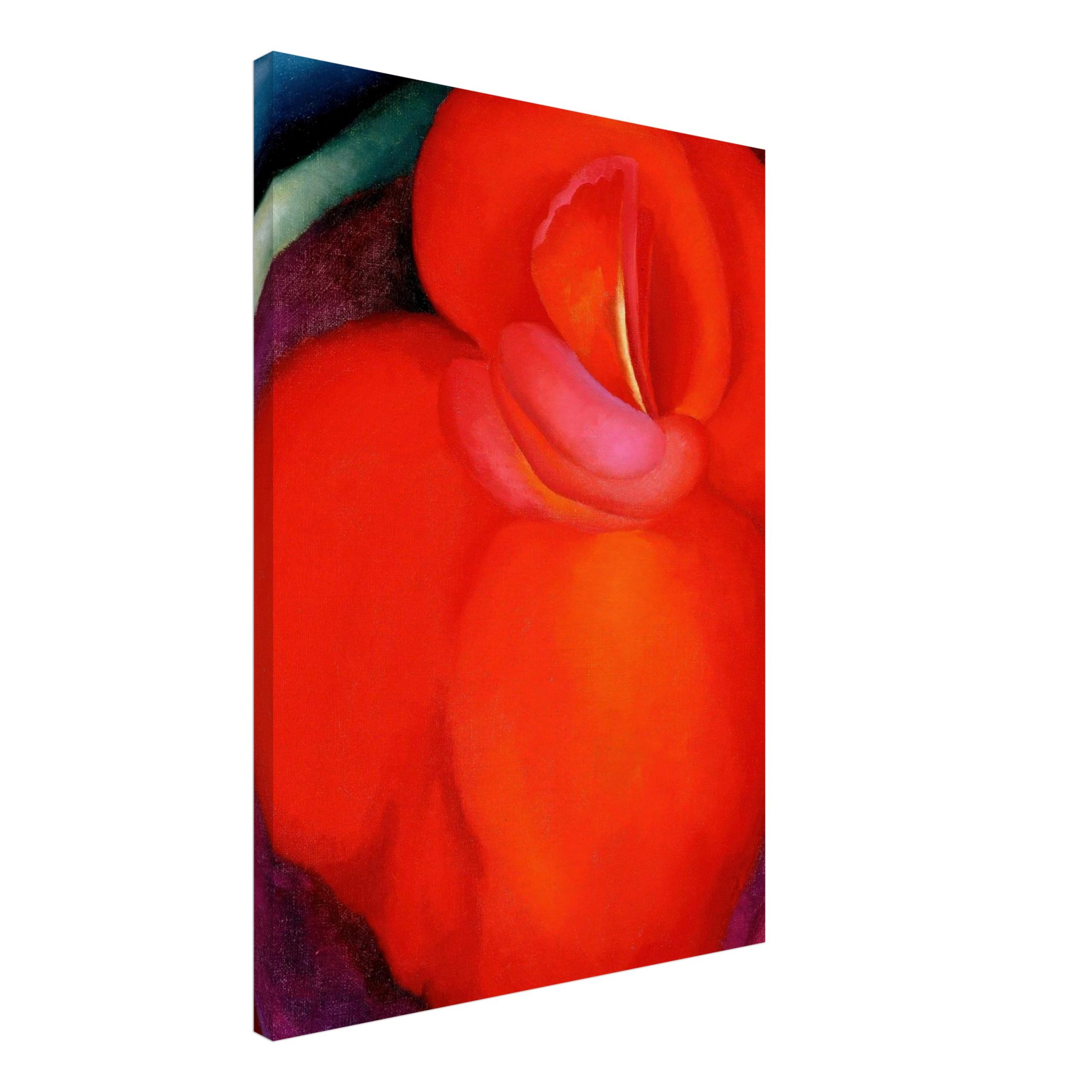 georgia-okeeffe-red-flower-1919-print-on-canvas-angle Georgia O'Keeffe - Red Flower 1919 -print-on-canvas-angle
