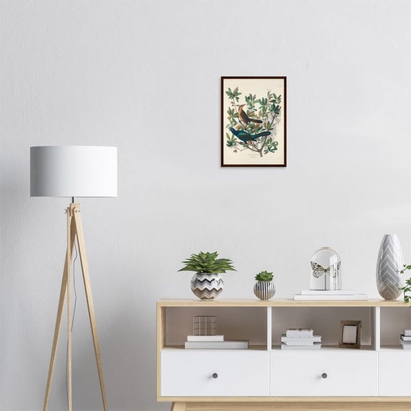 John James Audubon - Boat-tailed Grackle - -framed-poster-dark-wood-1