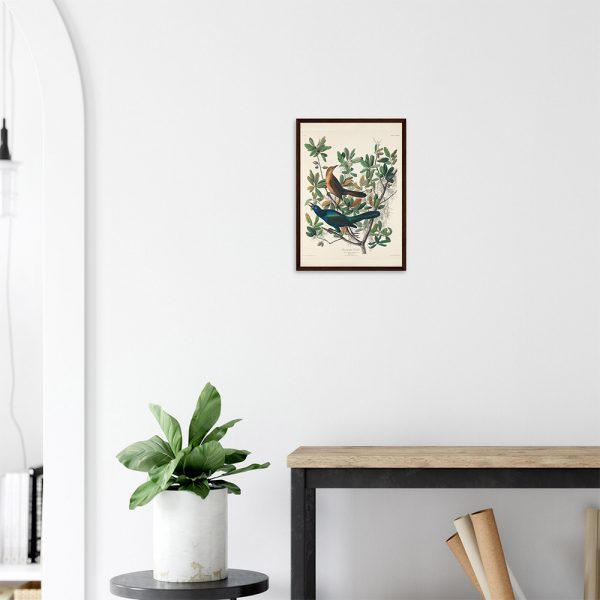 John James Audubon - Boat-tailed Grackle - -framed-poster-dark-wood-2