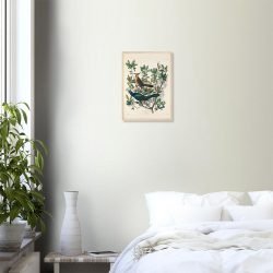 John James Audubon - Boat-tailed Grackle - -framed-poster-wood-0