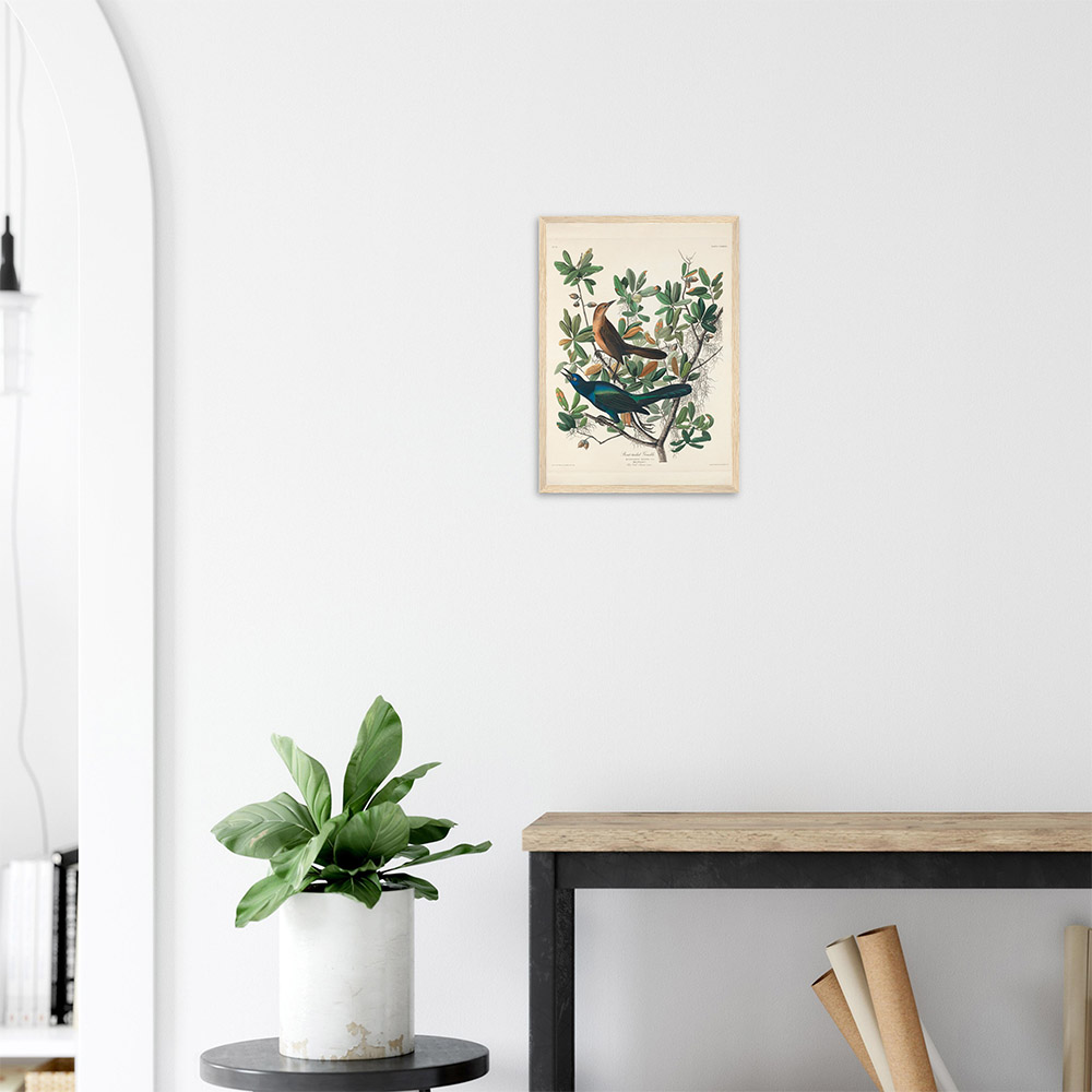 John James Audubon - Boat-tailed Grackle - -framed-poster-wood-2