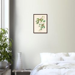 John James Audubon - Carbonated Warbler - -framed-poster-dark-wood-0