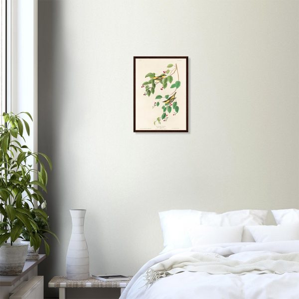 John James Audubon - Carbonated Warbler - -framed-poster-dark-wood-0