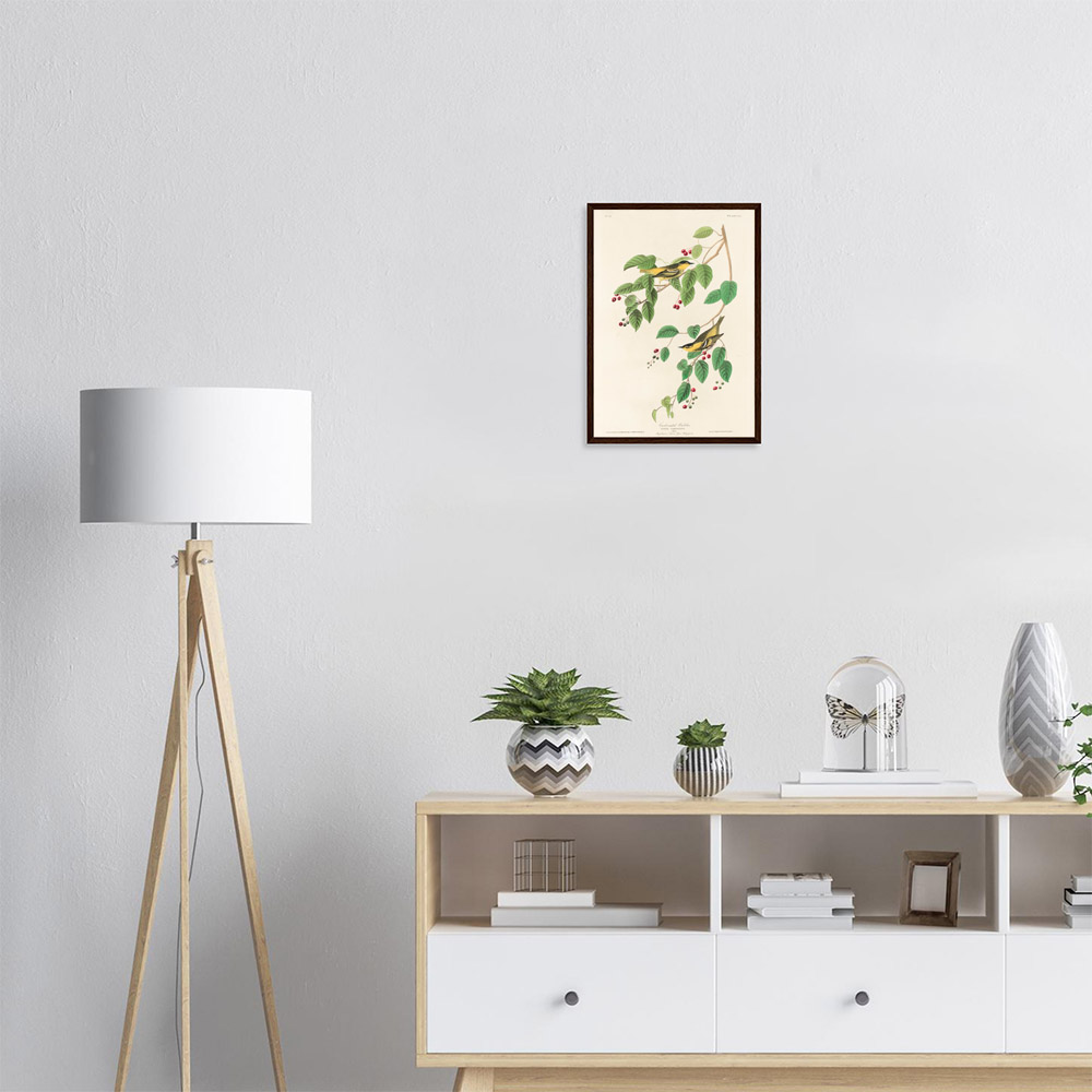 John James Audubon - Carbonated Warbler - -framed-poster-dark-wood-1