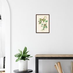 John James Audubon - Carbonated Warbler - -framed-poster-dark-wood-2