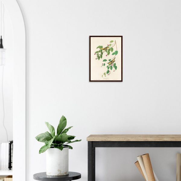John James Audubon - Carbonated Warbler - -framed-poster-dark-wood-2