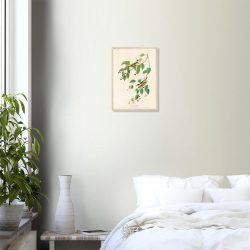 John James Audubon - Carbonated Warbler - -framed-poster-wood-0