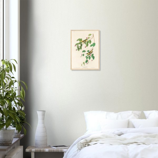 John James Audubon - Carbonated Warbler - -framed-poster-wood-0