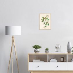 John James Audubon - Carbonated Warbler - -framed-poster-wood-1