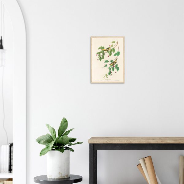 John James Audubon - Carbonated Warbler - -framed-poster-wood-2