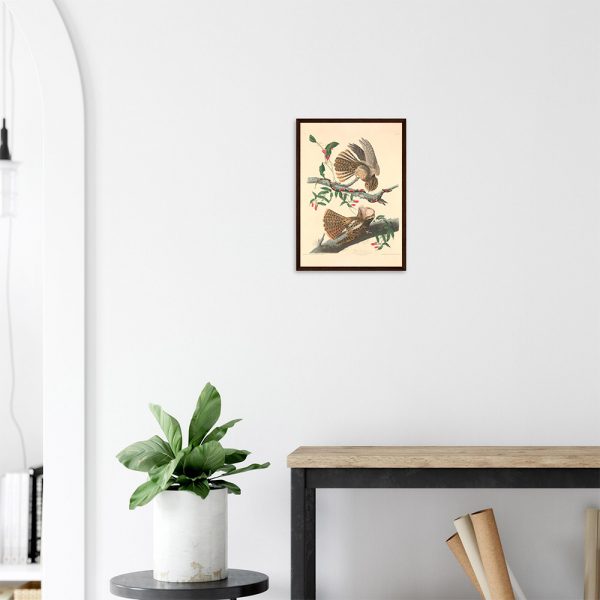 John James Audubon - Chuck Will's Widow - -framed-poster-dark-wood-2