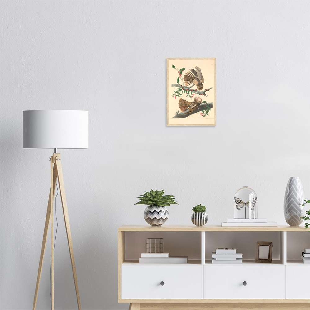 John James Audubon - Chuck Will's Widow - -framed-poster-wood-1