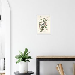 John James Audubon - Downy Woodpecker - -framed-poster-white-2