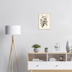 John James Audubon - Downy Woodpecker - -framed-poster-wood-1