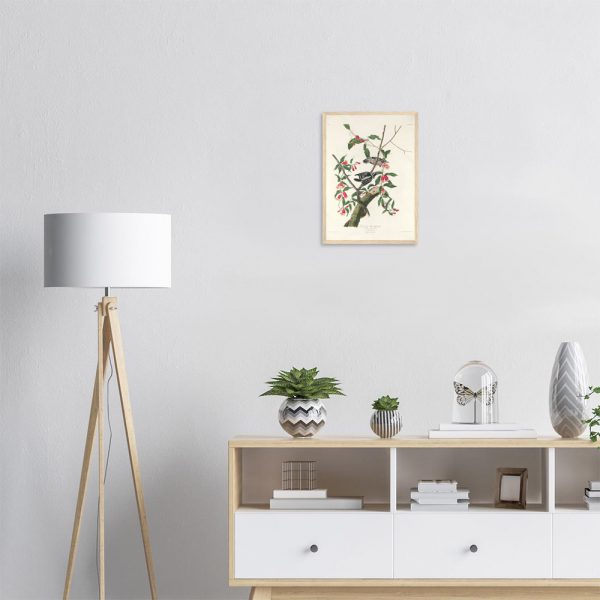John James Audubon - Downy Woodpecker - -framed-poster-wood-1