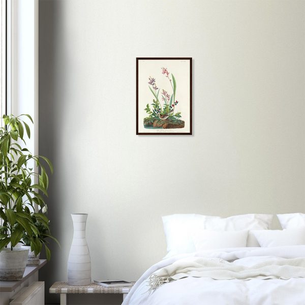 John James Audubon - Field Sparrow - -framed-poster-dark-wood-0