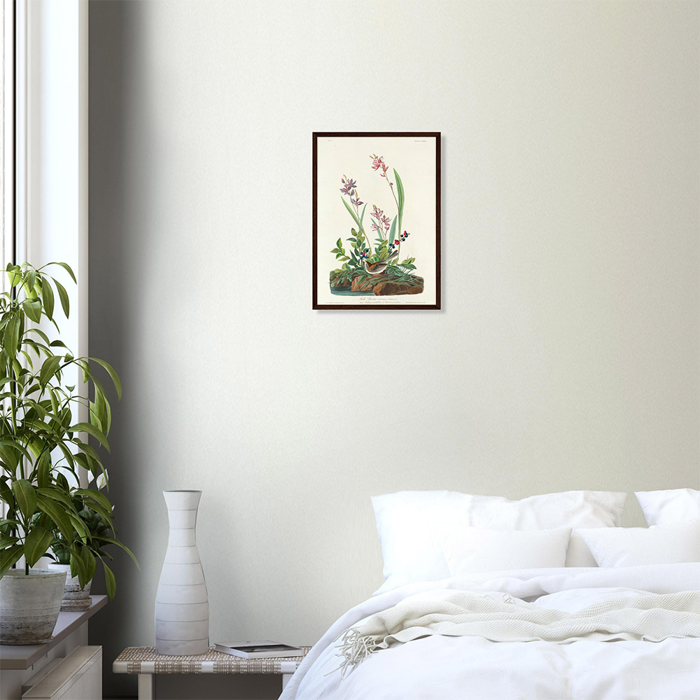 John James Audubon - Field Sparrow - -framed-poster-dark-wood-0