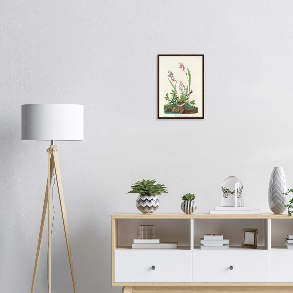 John James Audubon - Field Sparrow - -framed-poster-dark-wood-1