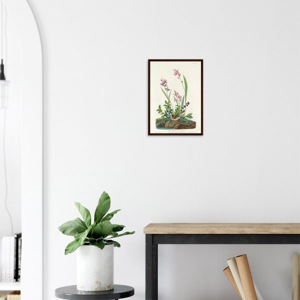 John James Audubon - Field Sparrow - -framed-poster-dark-wood-2