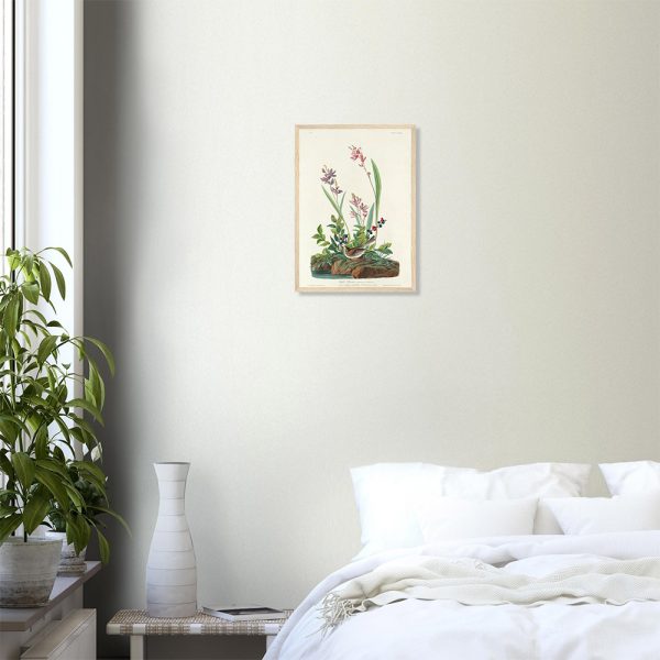 John James Audubon - Field Sparrow - -framed-poster-wood-0