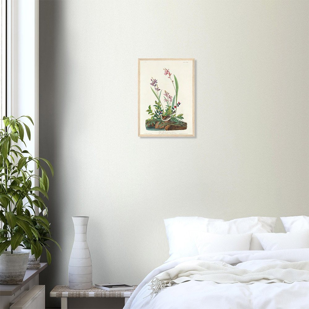 John James Audubon - Field Sparrow - -framed-poster-wood-0