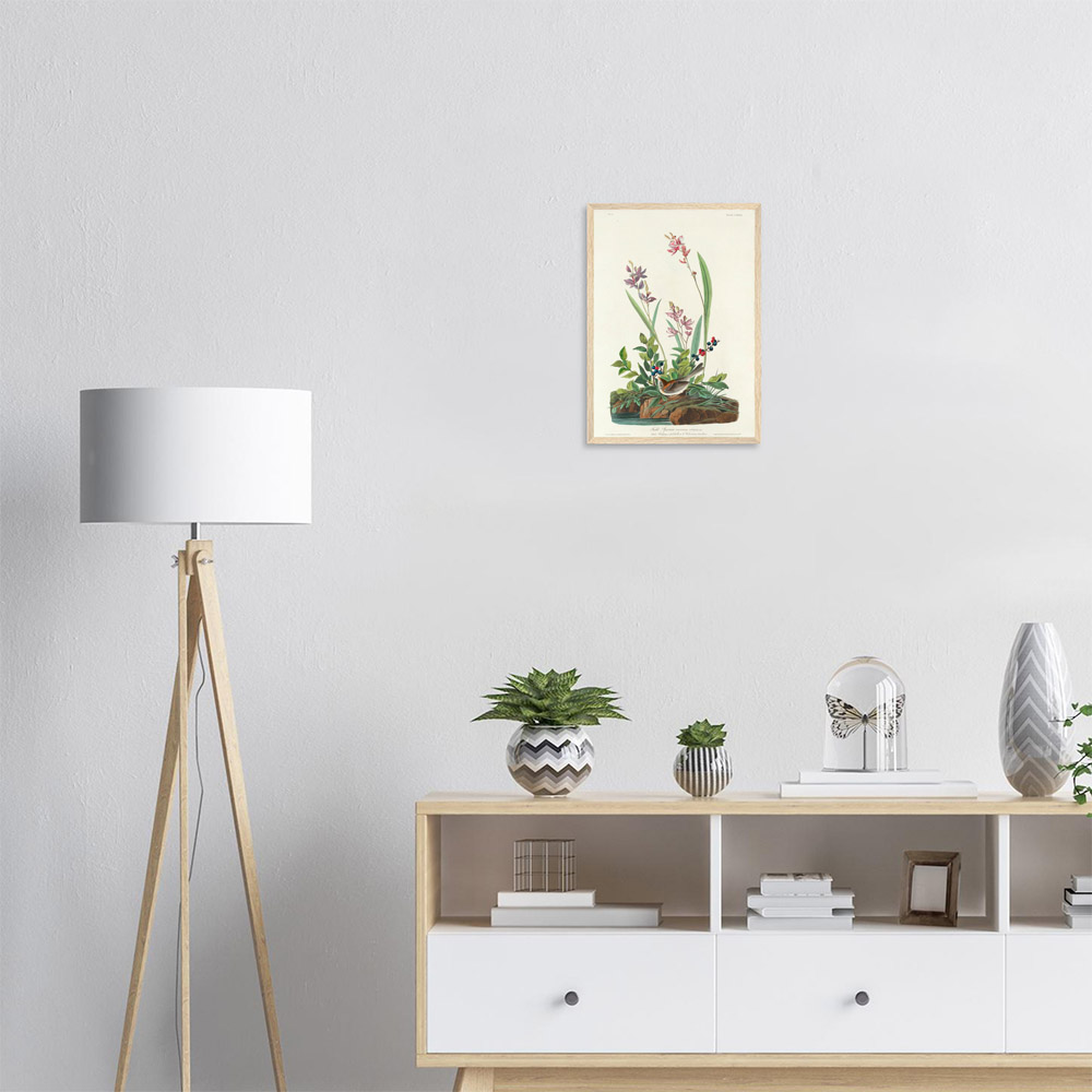 John James Audubon - Field Sparrow - -framed-poster-wood-1