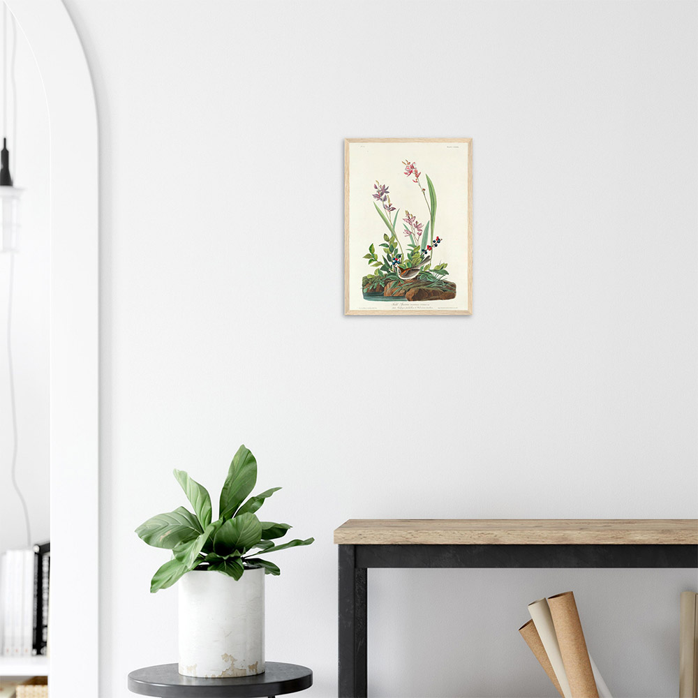 John James Audubon - Field Sparrow - -framed-poster-wood-2