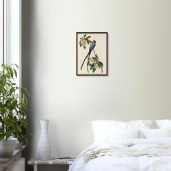 John James Audubon - Forked-tail Flycatcher - -framed-poster-dark-wood-0