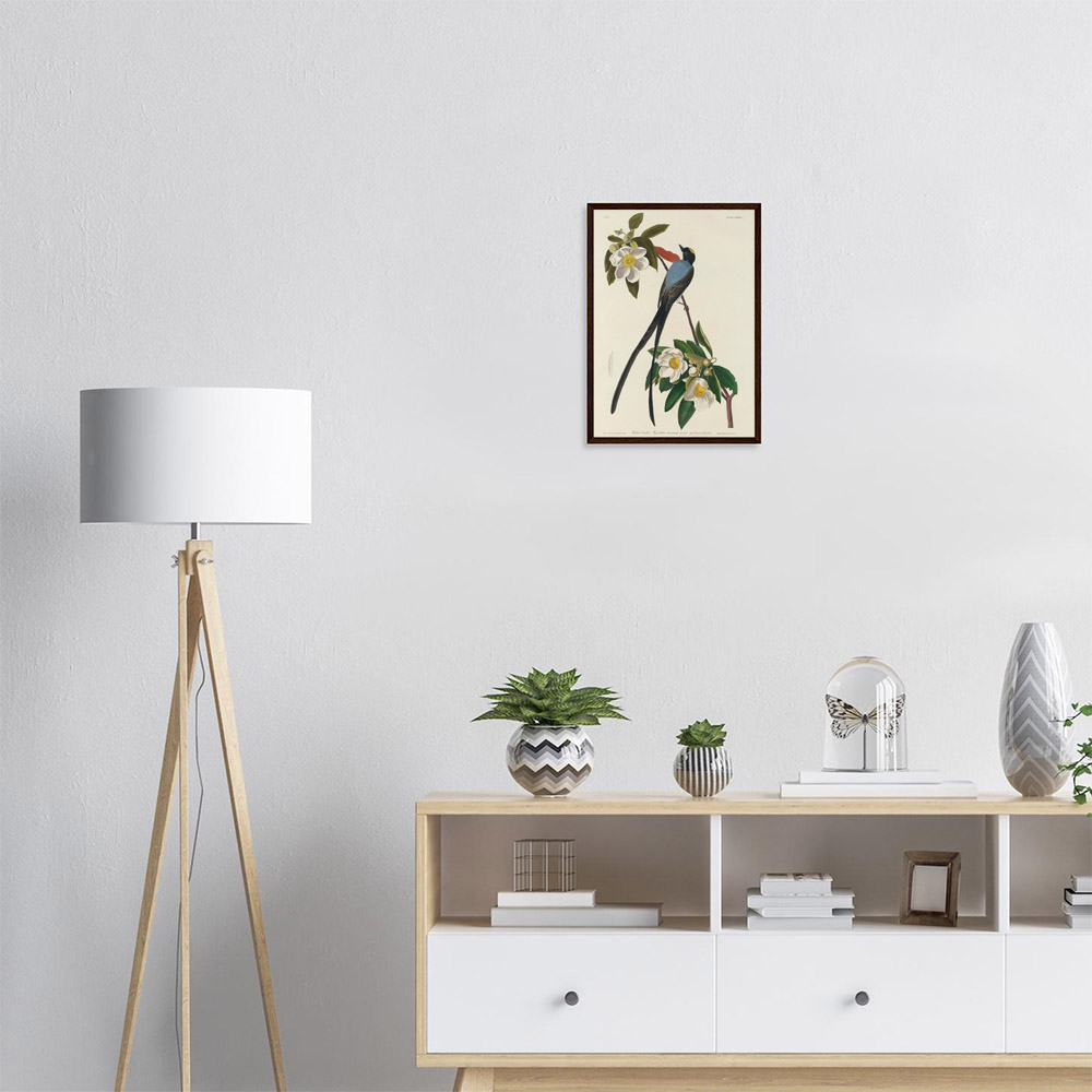 John James Audubon - Forked-tail Flycatcher - -framed-poster-dark-wood-1
