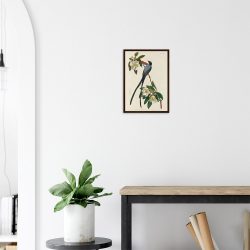 John James Audubon - Forked-tail Flycatcher - -framed-poster-dark-wood-2