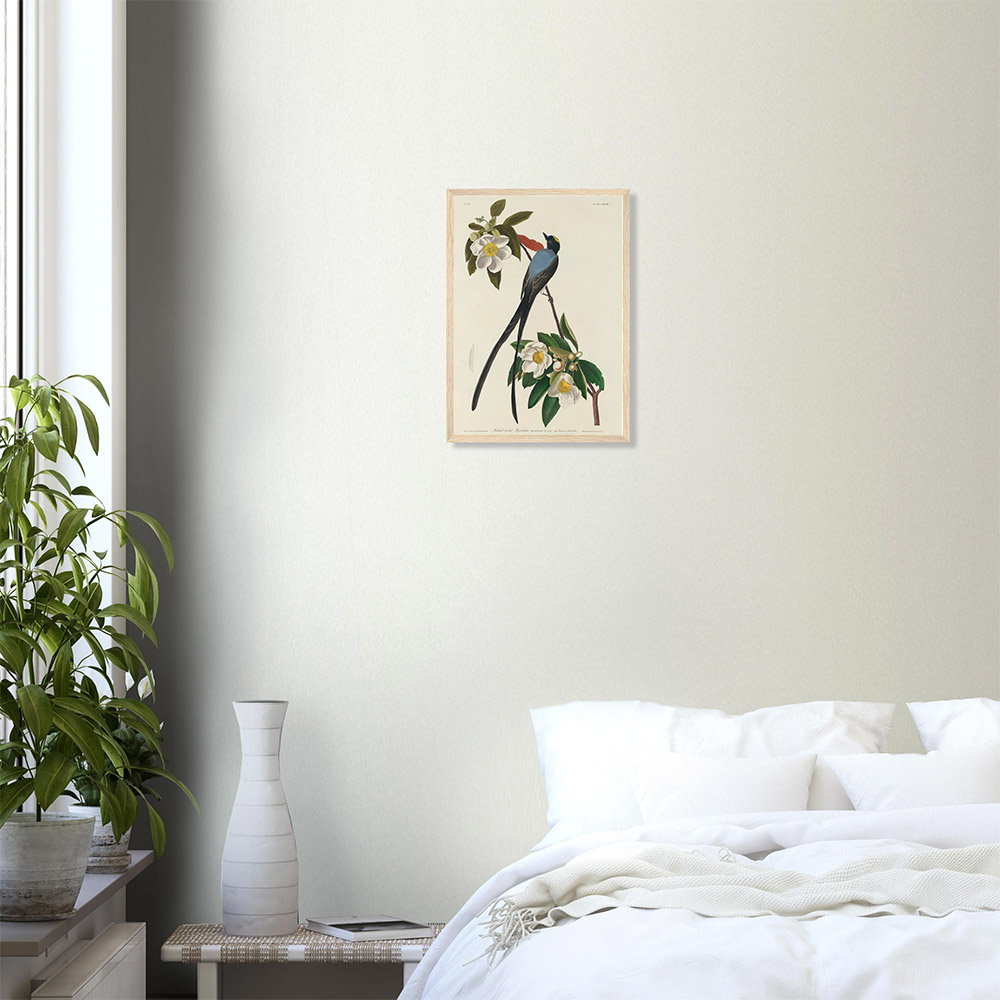 John James Audubon - Forked-tail Flycatcher - -framed-poster-wood-0