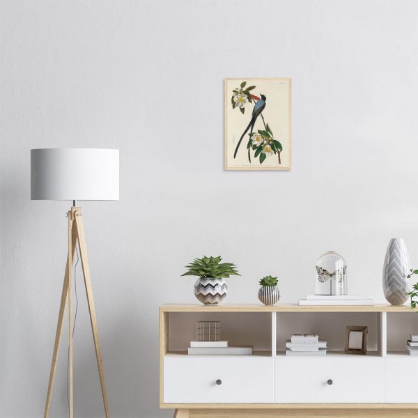 John James Audubon - Forked-tail Flycatcher - -framed-poster-wood-1