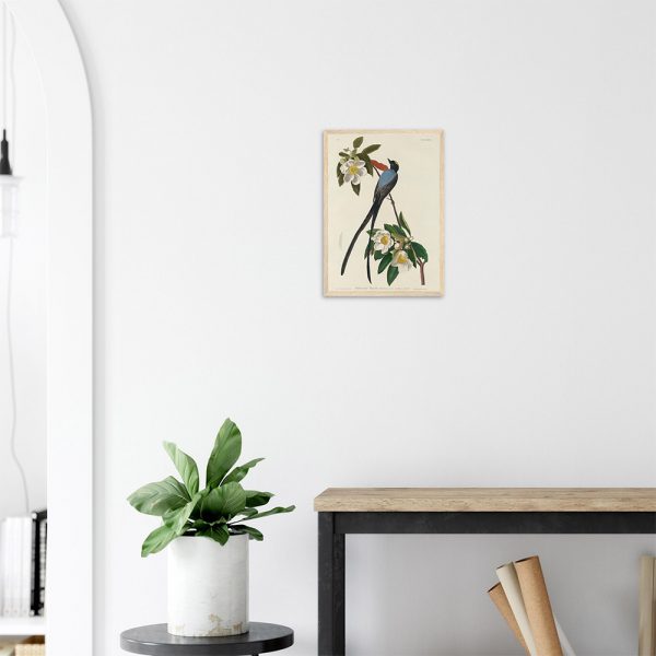 John James Audubon - Forked-tail Flycatcher - -framed-poster-wood-2