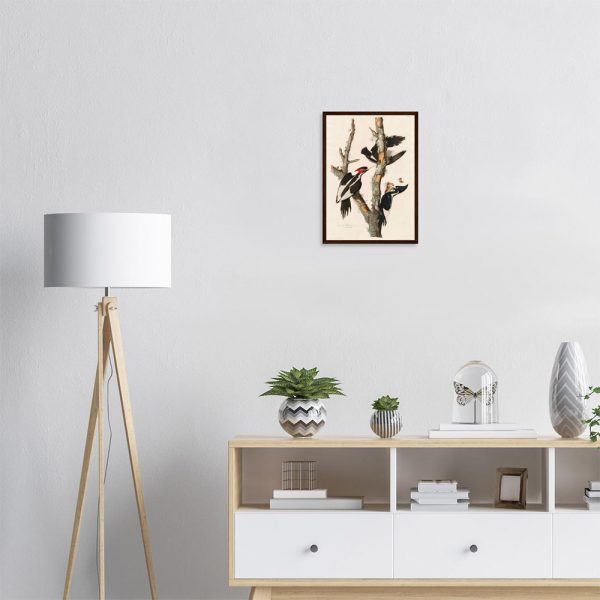 John James Audubon - Lincoln Finch - -framed-poster-dark-wood-1