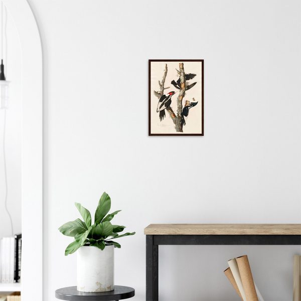 John James Audubon - Lincoln Finch - -framed-poster-dark-wood-2