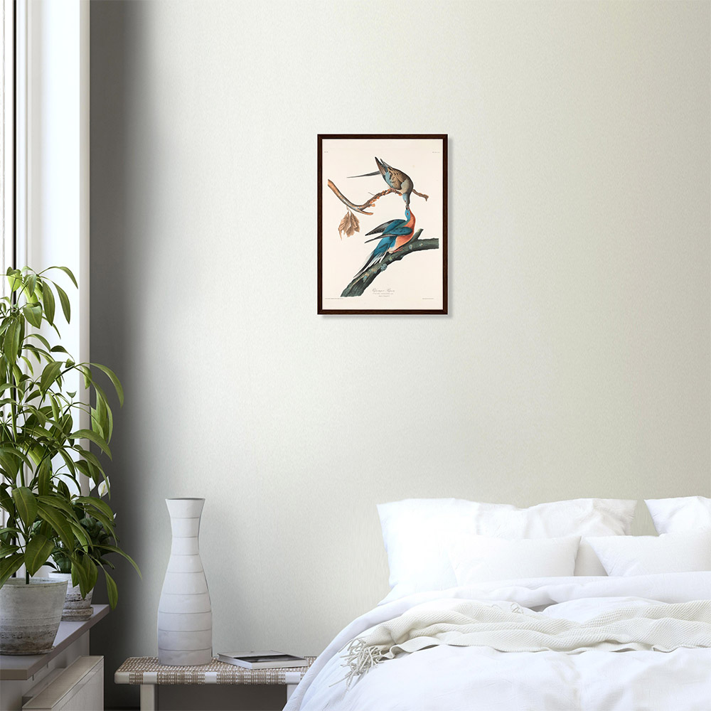 John James Audubon - Passenger Pigeon - -framed-poster-dark-wood-0