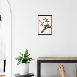 John James Audubon - Passenger Pigeon - -framed-poster-dark-wood-2
