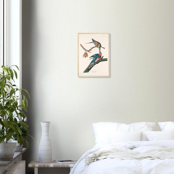 John James Audubon - Passenger Pigeon - -framed-poster-wood-0
