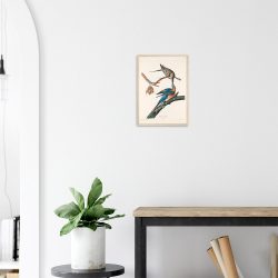 John James Audubon - Passenger Pigeon - -framed-poster-wood-2
